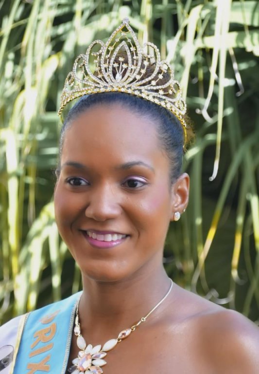 <h1>Diadème Athéna Miss Elégance Martinique 2013</h1>